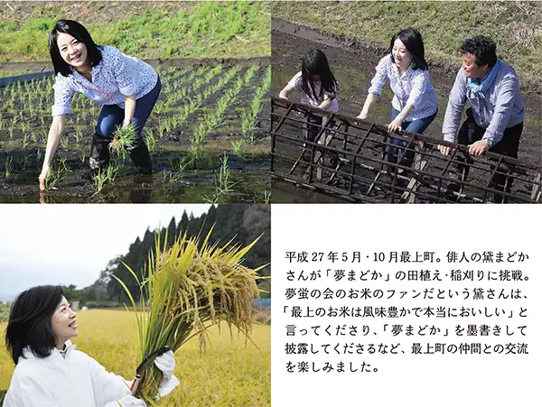 【令和8年産予約】特別栽培米　夢まどか10㎏(5kg×2)