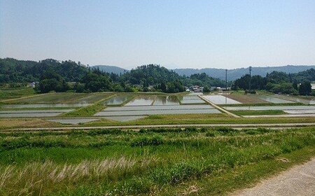 3-M コシヒカリ 白米 会津 5kg 4袋 計20kg 令和7年産米 藤川農産 ※2025年10月上旬頃より順次発送予定
