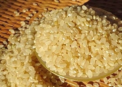 完全自然米 2.7kg【分搗き】_A0038-012