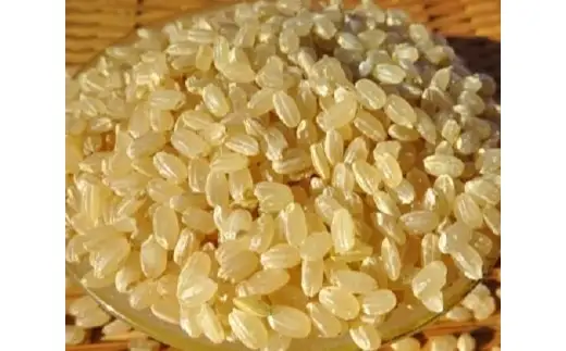 完全自然米 5kg【玄米】＋古代米セット_A0038-014