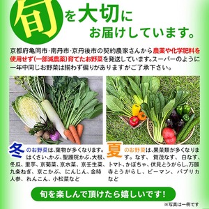 【12回定期便】有機野菜詰め合わせ＆卵 野菜