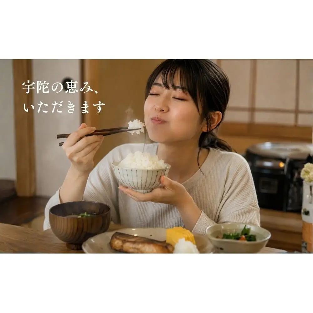 【定期便3回】特別栽培米 にじのきらめき 白米 5kg ／ あかひと農園 米 白米 精米 ご飯 奈良県 宇陀市 あかひと米 ふるさと納税