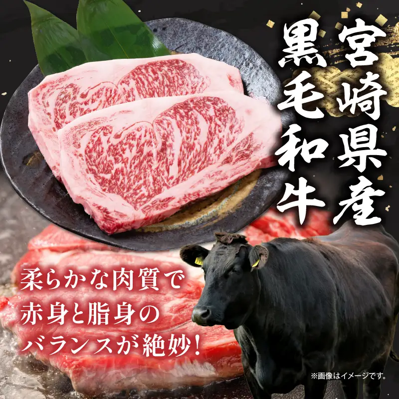 宮崎県産 黒毛和牛 サーロインステーキ 計500g(250g×2枚) 肉 牛肉 ビーフ 国産 ステーキ肉 おかず 食品 BBQ バーベキュー 焼肉 鉄板焼き おすすめ 人気 個包装 小分け 真空パック お祝い 記念日 ご褒美 贈り物 ギフト 贈答 プレゼント 宮崎県 日南市 送料無料_DC19-24