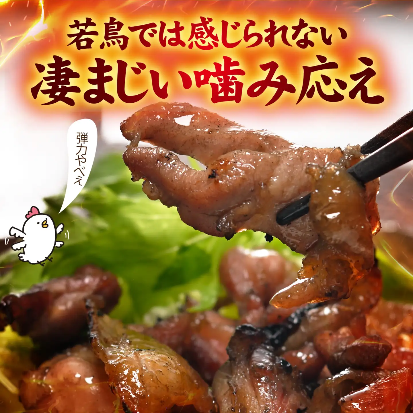 いぶし銀の味わい　親鶏の炭火焼き[A-153002]