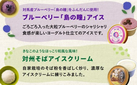 対馬 プレミアム アイス 6種セットアイスクリーム セット スイーツ  [WAM004]