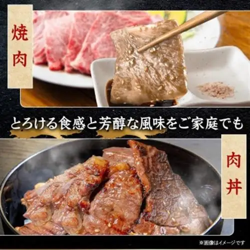 飛騨牛 厳選カルビ・赤身(焼肉・BBQ用) 1kg(各500g)　黒毛和牛　小分け　A4～A5等級_肉 焼肉 牛肉 やきにく ヤキニク バーベキュー  肉 飛騨牛 牛肉 うし ビーフ_【配送不可地域：離島】【1543764】