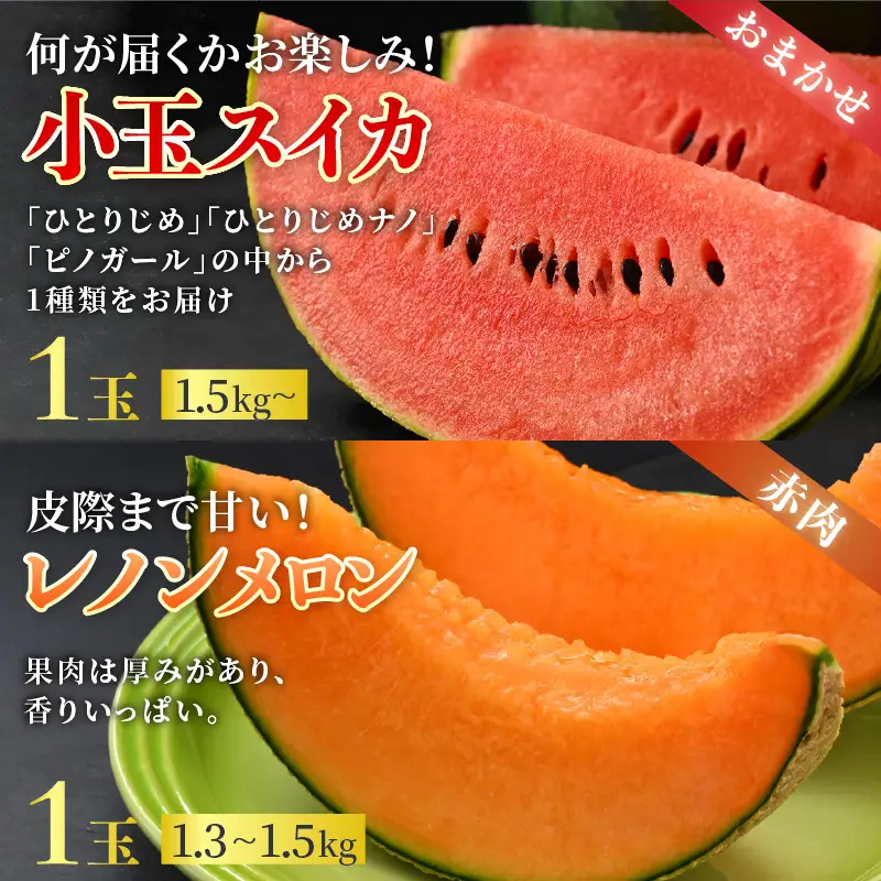 【先行予約】【秀品】佐藤農園の小玉スイカとレノンメロンのセット 計2玉 / 農家直送 有機肥料 低農薬 すいか フルーツ 果物 くだもの 野菜 赤い食べ物 甘い 贈答 旬 夏 ※2027年6月中旬～7月末の間に順次発送 [aw069-a010]