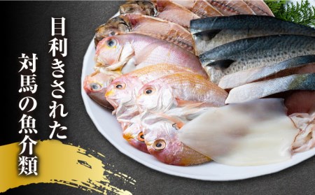 対馬 早田流 干物 セット 13枚甘鯛 レンコ 一夜干し  [WAK002]