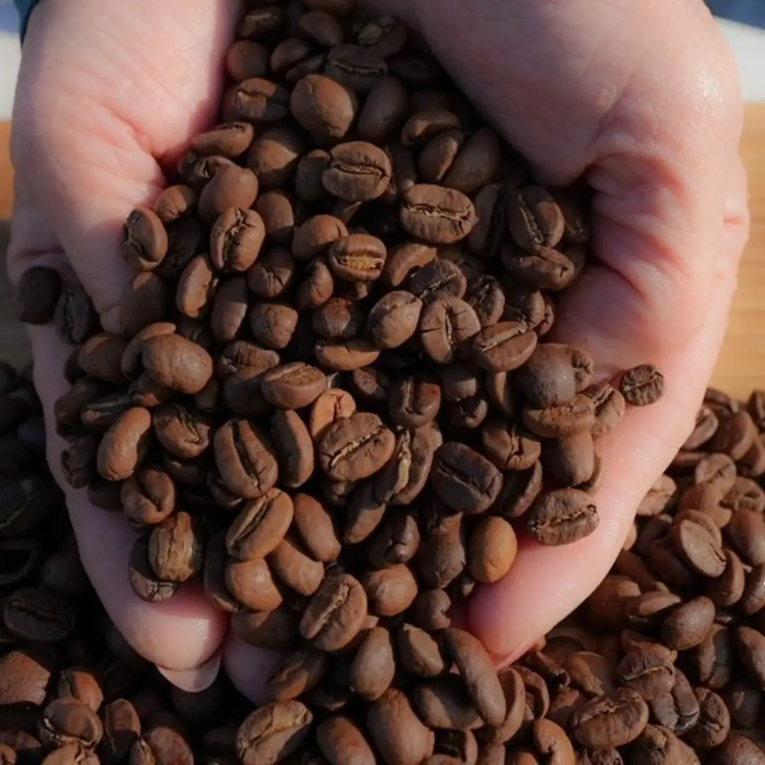 スペシャルティコーヒー豆200g×２種　(浅煎り・中煎り) 