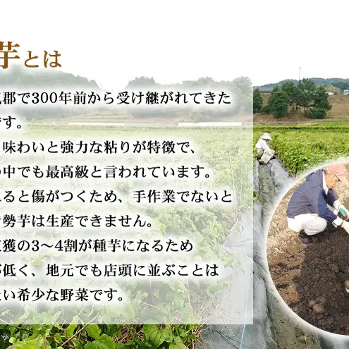 伊勢芋かりんとう4種70g×18袋セット【食べ比べ 個包装 はちみつ きなこ キャラメル みたらし 菓子 スイ—ツ 手土産 お取り寄せ】和菓子 お菓子