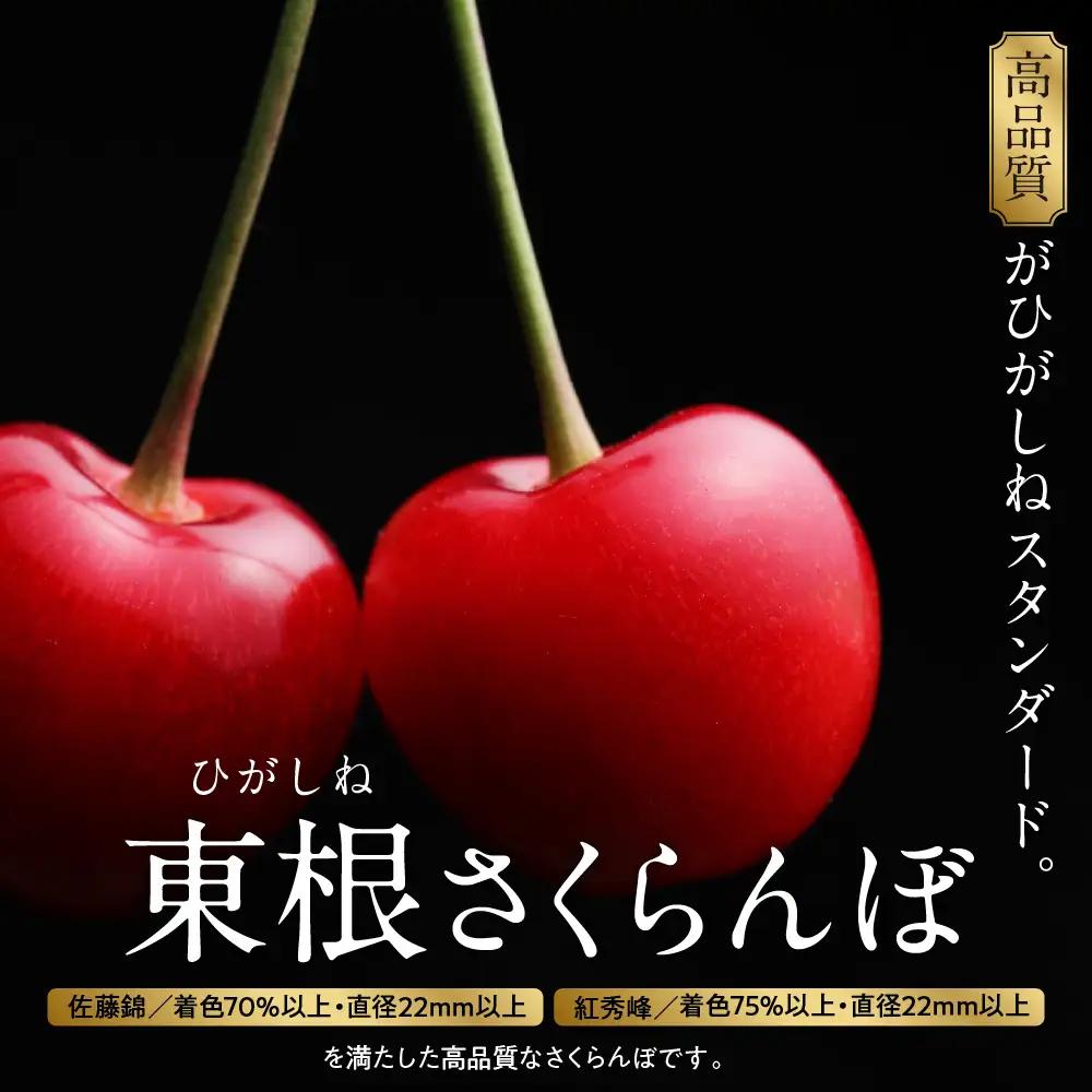 2027年産 GI 東根 さくらんぼ 紅秀峰 800g JA さくらんぼ