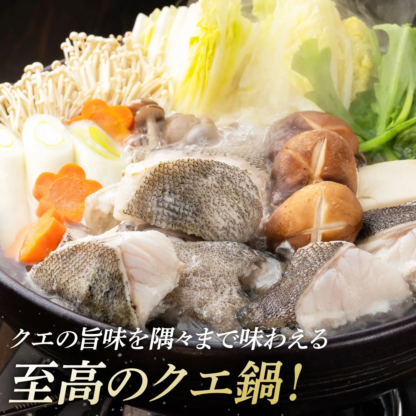幻の魚 クエ 鍋 セット 800g [WAD013] 海鮮 魚介 鍋 高級 くえ クエ鍋 クエ