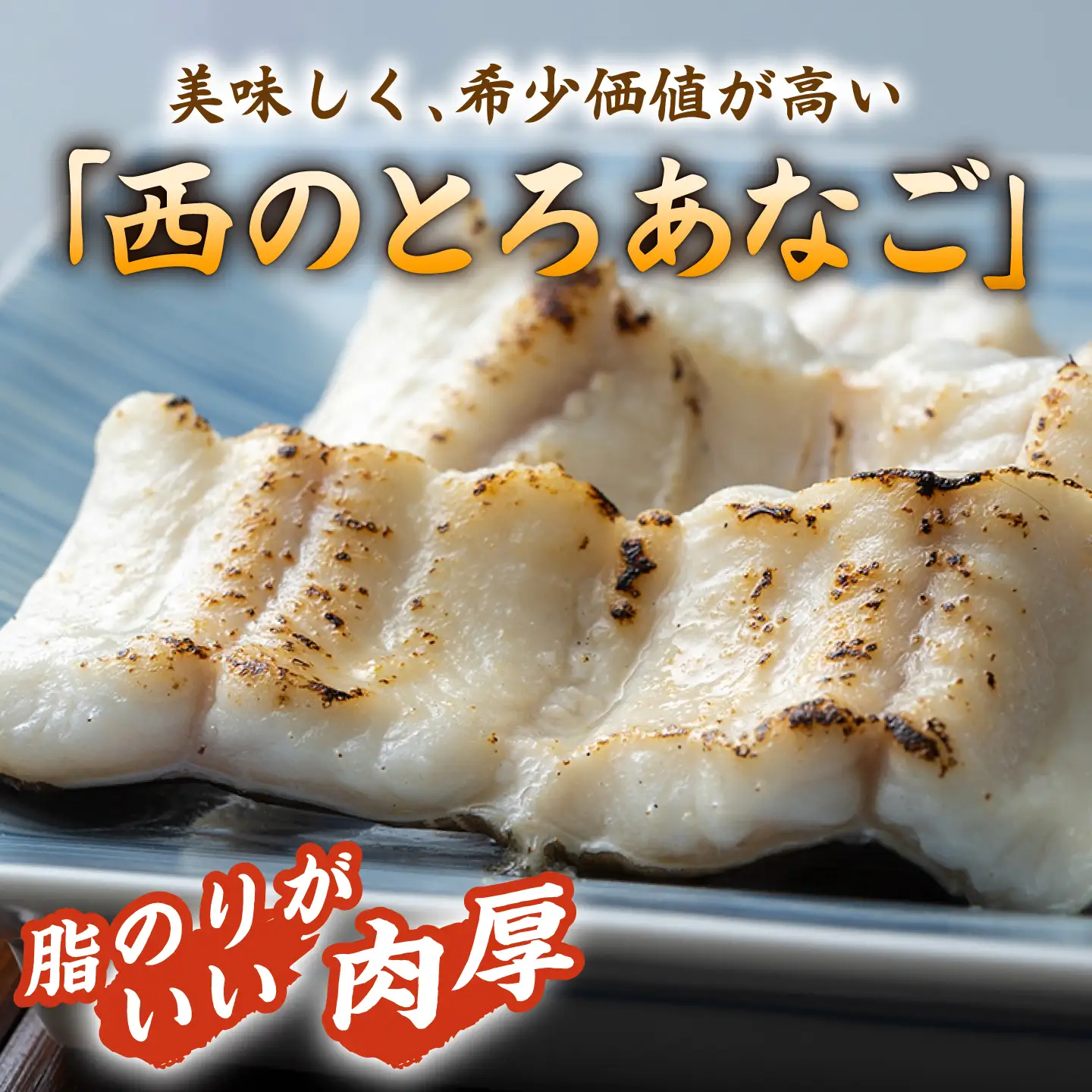 対馬産 穴子 詰め合わせ 10PAC [WAV002]  とろ あなご 煮穴子 