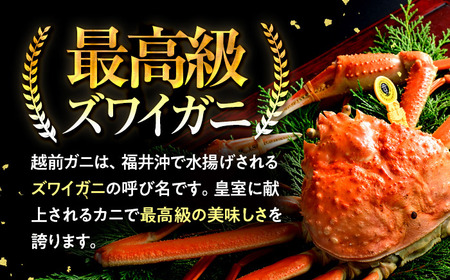【先行予約/12月25日より順次発送】【年末希望】 越前がに 700ｇ×2ハイ ズワイガニ ずわいがに ボイル 冷蔵 小浜市 / まるほ商店 【配送不可地域：北海道・沖縄・離島】[BFCS037]