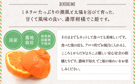  不知火 でこ姫 約2.5kg（6～12玉）【吉田レモニー】【2027年3月上旬-6月上旬発送】