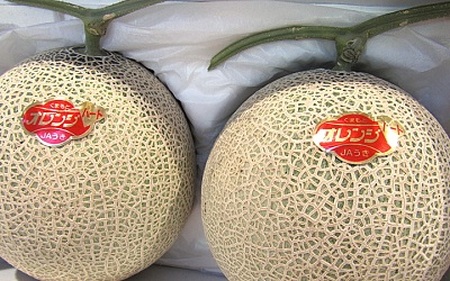 令和8年熊本地震復興支援 先行予約 メロン オレンジハート 約3.5kg【2026年11月上旬?11月下旬頃発送予定】