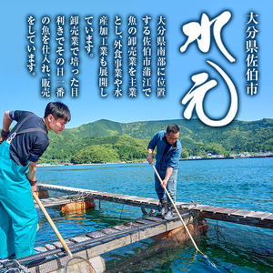 ＜先行予約受付中！2026年11月以降順次発送予定＞大分県産 美人鰤 刺身・しゃぶしゃぶセット (合計560g・刺身100g×2皿、しゃぶしゃぶ180g×2皿、醤油ダレ30ml×2個、ポン酢30ml×2個) 鰤 ブリ 鮮魚 冷凍 養殖 国産 大分県 佐伯市 【GO009】【水元】