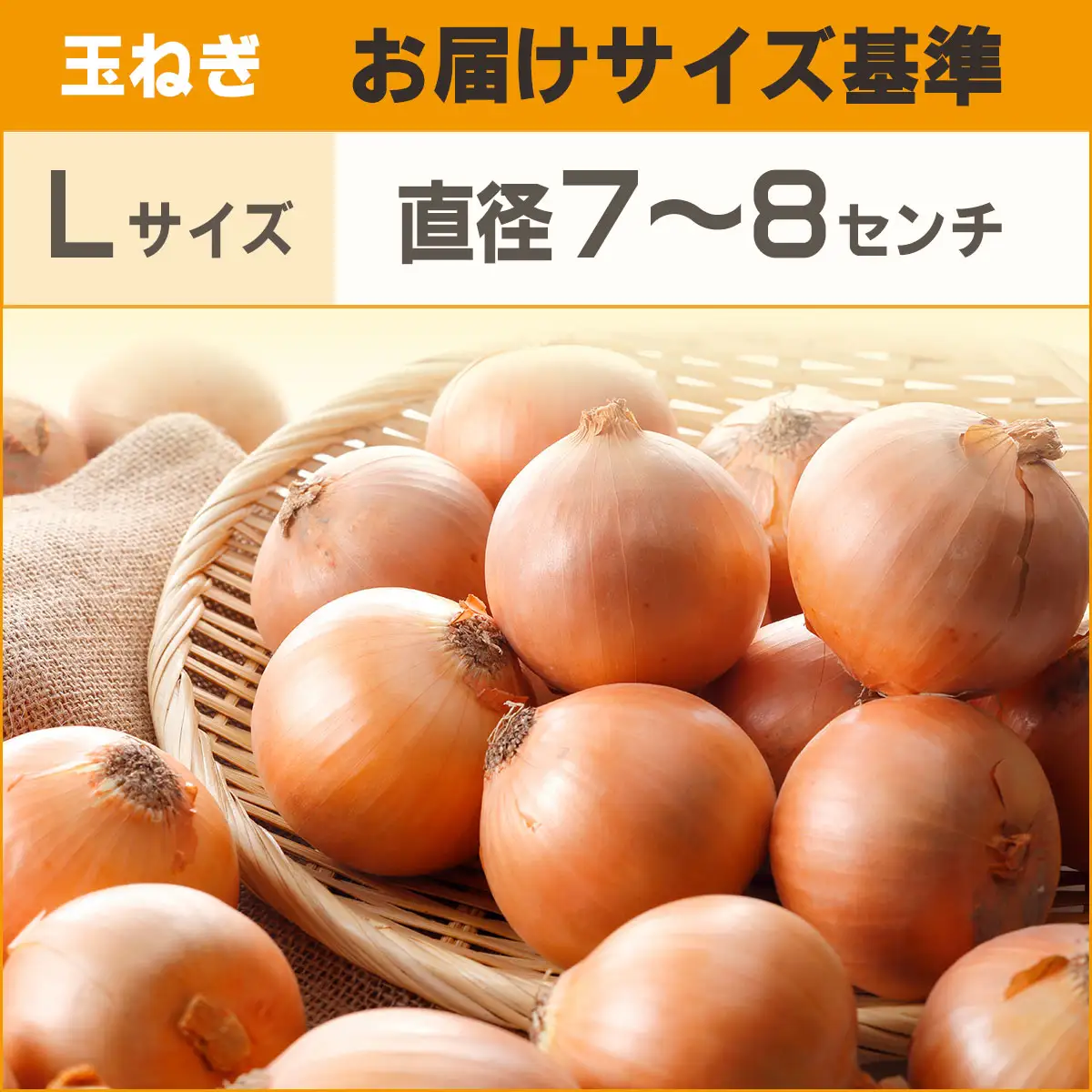 【先行予約】玉ねぎ Lサイズ 20kg 大空町産（2026年11月以降順次発送） OSR009 | 玉ねぎ