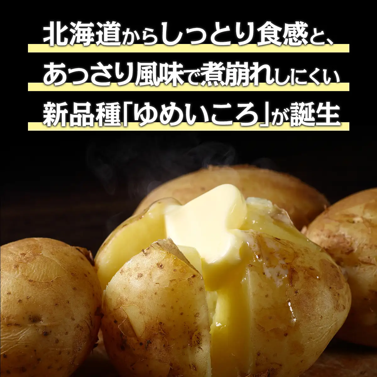 【先行予約】じゃがいも（ゆめいころ） LMサイズ 10kg 大空町産（2026年10月以降順次発送） OSR012 | じゃがいも ゆめいころ