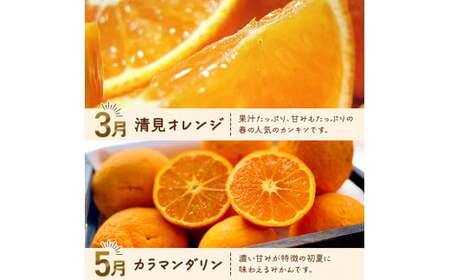 和歌山旬のカンキツ定期便【M】全4回（配送日時指定不可）※北海道・沖縄・離島への配送不可 / 定期便 フルーツ みかん 清見オレンジ 青切り 青切りみかん カラマンダリン 4回 【ard-tkb903A】
