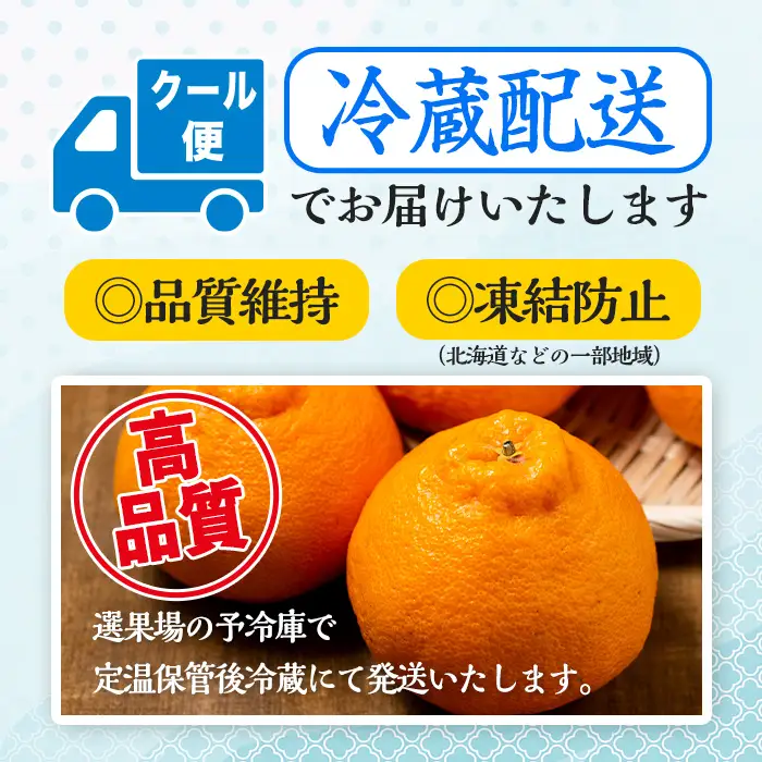 i636 ≪先行予約受付中！2027年1月中旬以降順次発送予定≫【冷蔵便】大将季＜無加温＞ (約5kg) 国産 みかん 柑橘 種果物 くだもの フルーツ 旬 糖度抜群 【JA鹿児島いずみ(果実課)】