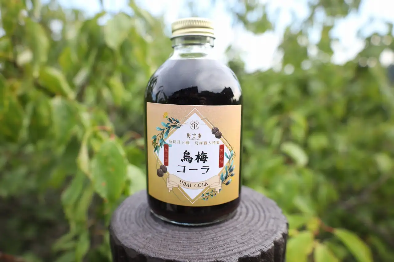 烏梅コーラと完熟梅シロップのセット 梅古庵 17-004 コーラ 梅 シロップ