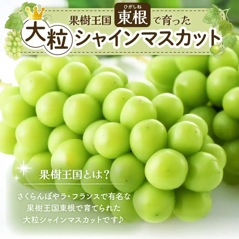 2026年産 ぶどう シャインマスカット 2房(約1.3kg) ぶどう