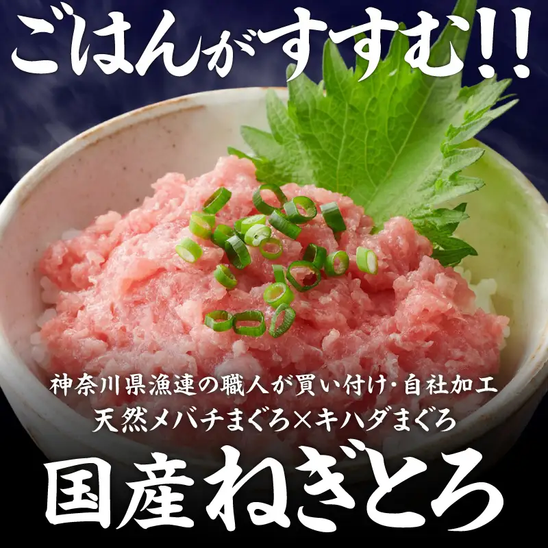 ＜選べる配送月＞【 神奈川県 漁連 】 ＜ お徳用 ＞  天然 まぐろ ねぎとろ 500g M077-011-01 冷凍 マグロ