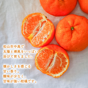 【2027年2月下旬から順次発送】低農薬栽培ポンカン 5kg | 数量選択可 ポンカン みかん 数量限定 みかん 愛媛県産 みかん ぽんかん 松山市 みかん 中島 みかん ぽんかん 低農薬 みかん 蜜柑 ポンカン みかん 愛媛県 松山市【NO026】