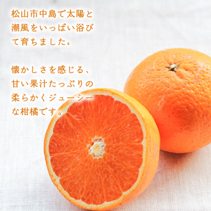 【2027年3月中旬頃から順次発送】低農薬栽培清見 10kg | 数量選択可 清見 みかん ミカン 蜜柑 柑橘 数量限定 愛媛県産 松山市 中島 低農薬 愛媛 ふるさと納税 【NO035】