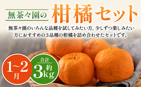 ＜無茶々園の柑橘セット 約3kg＞ 【先行予約】フルーツ 果物 くだもの 伊予柑 いよかん イヨカン ポンカン ぽんかん みかん 蜜柑 ミカン 詰め合わせ 詰合せ お楽しみ 食べ比べ お試し おためし 特産品 愛媛県 西予市【常温】『2027年1月中旬～2月中旬に順次出荷予定』AMC0040