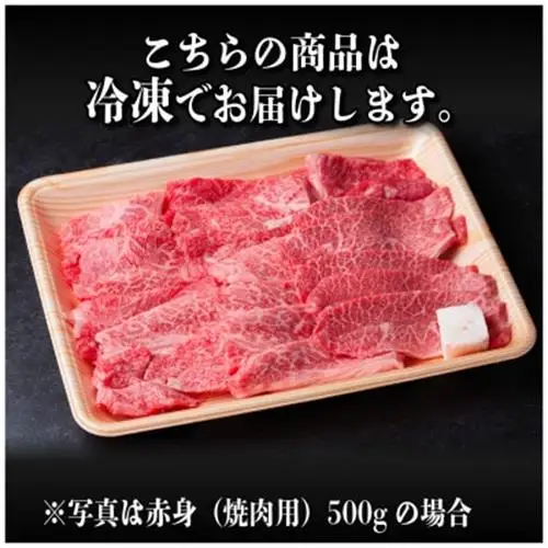 飛騨牛 厳選赤身(焼肉・BBQ用)500g　A4～A5等級　黒毛和牛　小分け_肉 焼肉 牛肉 やきにく ヤキニク バーベキュー  肉 飛騨牛 牛肉 うし ビーフ_【配送不可地域：離島】【1543752】