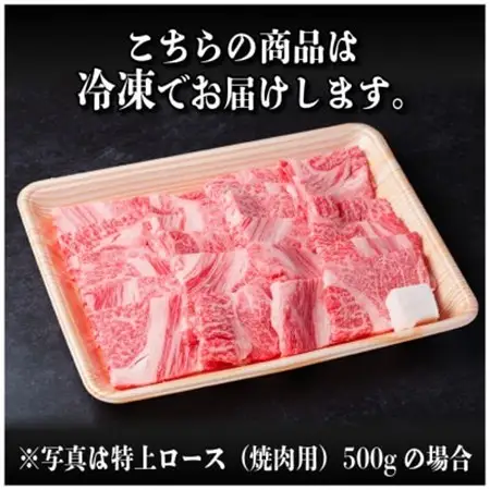 飛騨牛　特上ロース(焼肉・BBQ用)500g　A5等級　黒毛和牛_肉 焼肉 牛肉 やきにく ヤキニク バーベキュー  肉 飛騨牛 牛肉 うし ビーフ_【配送不可地域：離島】【1543790】