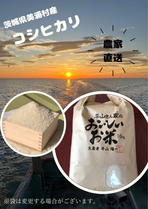 【令和7年産】コシヒカリ 精米 10kg【茨城県共通返礼品　美浦村産】 ※2026年6月～発送