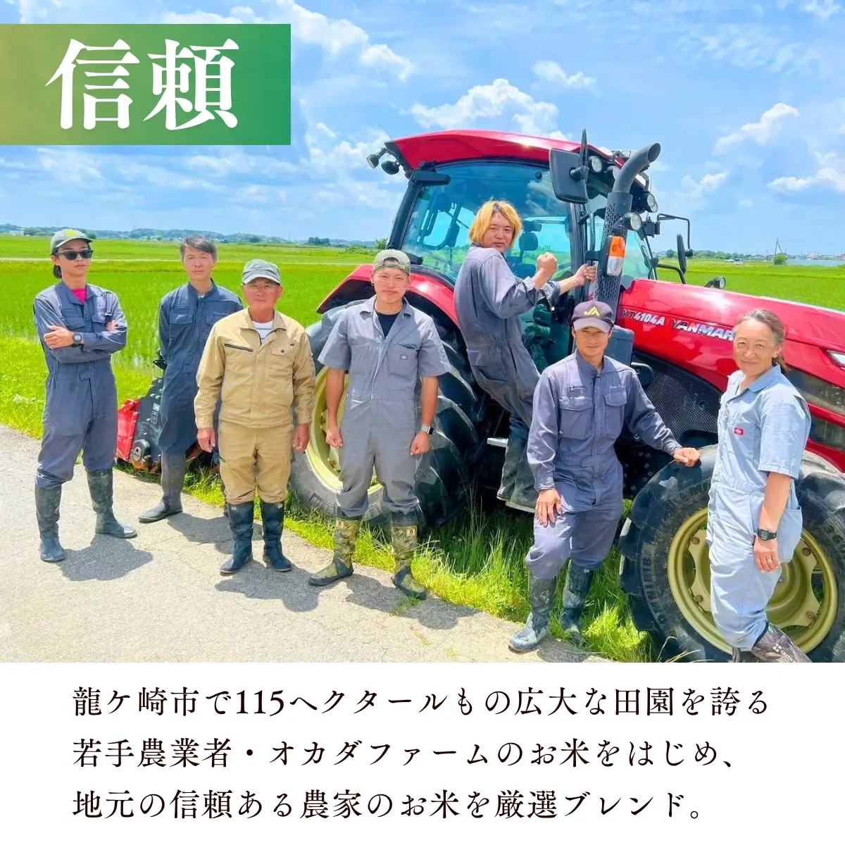 ＜3ヵ月定期便＞【令和8年産】 お米マイスターセレクト茨城産コシヒカリ(玄米30kg) | 玄米  コシヒカリ 米 お米 ごはん  