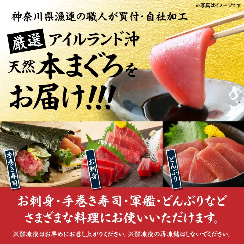 ＜選べる配送月＞神奈川県漁連 天然本マグロ 中トロ ・ 赤身 セット　M077-012-03 冷凍 マグロ
