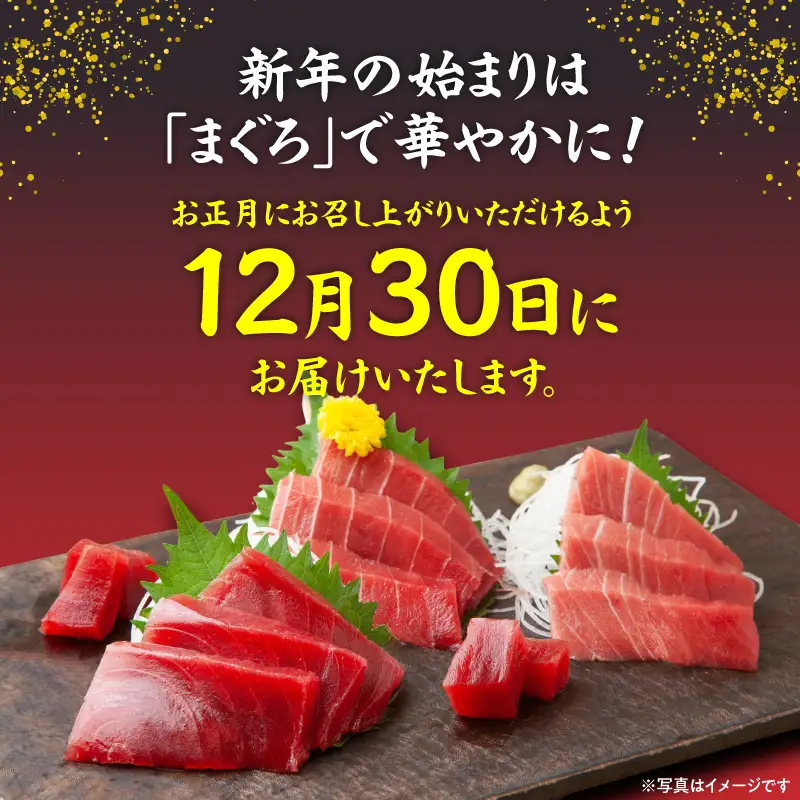 【 年内発送 】 神奈川県漁連 天然 本マグロ 中トロ ・ 赤身 セット 【 お正月 用 】 M077-013-03 冷凍 マグロ