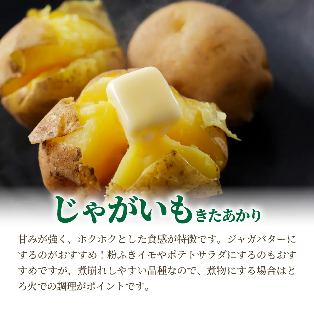 じゃがいも（きたあかり）10kg（網走産） ABP002 | じゃがいも じゃがいも じゃがいも じゃがいも じゃがいも じゃがいも じゃがいも じゃがいも じゃがいも じゃがいも じゃがいも じゃがいも 