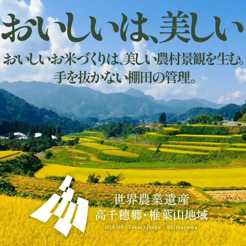 【令和7年産】高千穂産 ひのひかり 長衛門米 2kg ヒノヒカリ お米 精米 白米 米 白ご飯 ごはん おにぎり おむすび 米袋 農作物 国産 宮崎県産 高千穂町産 普段使い おすすめ お取り寄せ 特産品 _Tk019-033