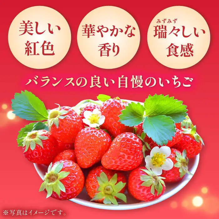 【2027年2月以降順次発送】いちごさん 約1kg（240g×4パック） / 佐賀県 / さが風土館季楽 [41AABE102]