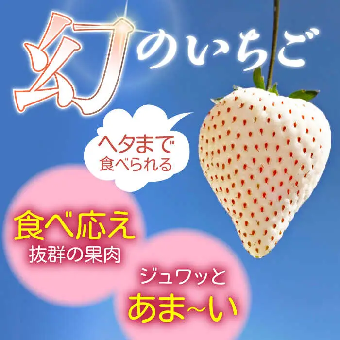 【2027年1月以降順次発送】白い宝石（訳あり）約520g（約130g×4パック） / 佐賀県 / 手島農園 [41ABAB004]