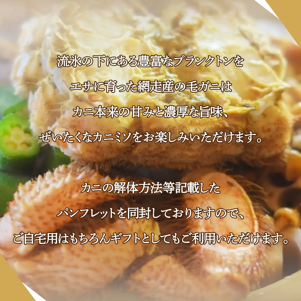北海道網走産毛ガニ（400g前後×1尾） ABE081 | 毛がに 