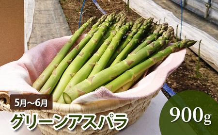 【先行予約】十勝幕別 北の畑のオーナーさん 人気の旬野菜 年3回定期便［2027年5月出荷開始］北海道ホープランド農場 【 アスパラ とうもろこし コーン じゃがいも ジャガイモ 玉ねぎ 野菜 定期便 】