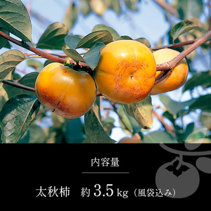 太秋柿 3.5kg