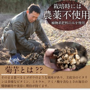 【10967】ノンカフェイン菊芋コーヒー(10包入×2パック)【へつか屋しまこ農園】