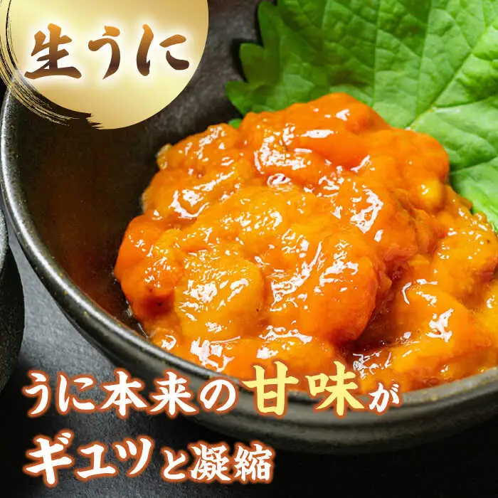 【お中元】生うに 一汐うに セット [JAQ024] うに