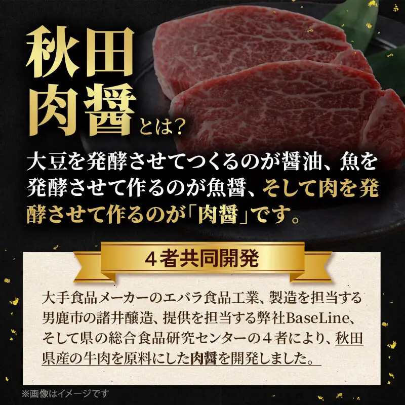 秋田ポーク 生ハンバーグ 190g×10個 ビッグサイズ 秋田肉醤