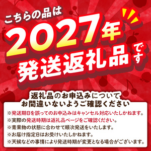 《先行受付》【2027年3月発送予定】 訳あり 家庭用サンふじ約10kg【大江町産・山形りんご・大地農産】 028-036
