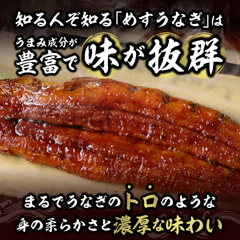 一色産めすうなぎ無頭長蒲焼2尾（300g）・I059-17