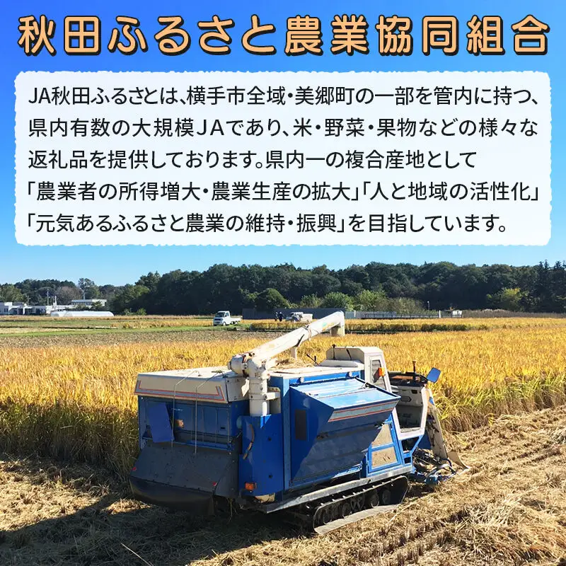 果汁100％ JA秋田ふるさとストレートりんごジュース180g×30P